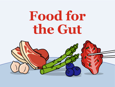 Food for the Gut – Crossword Edition 1