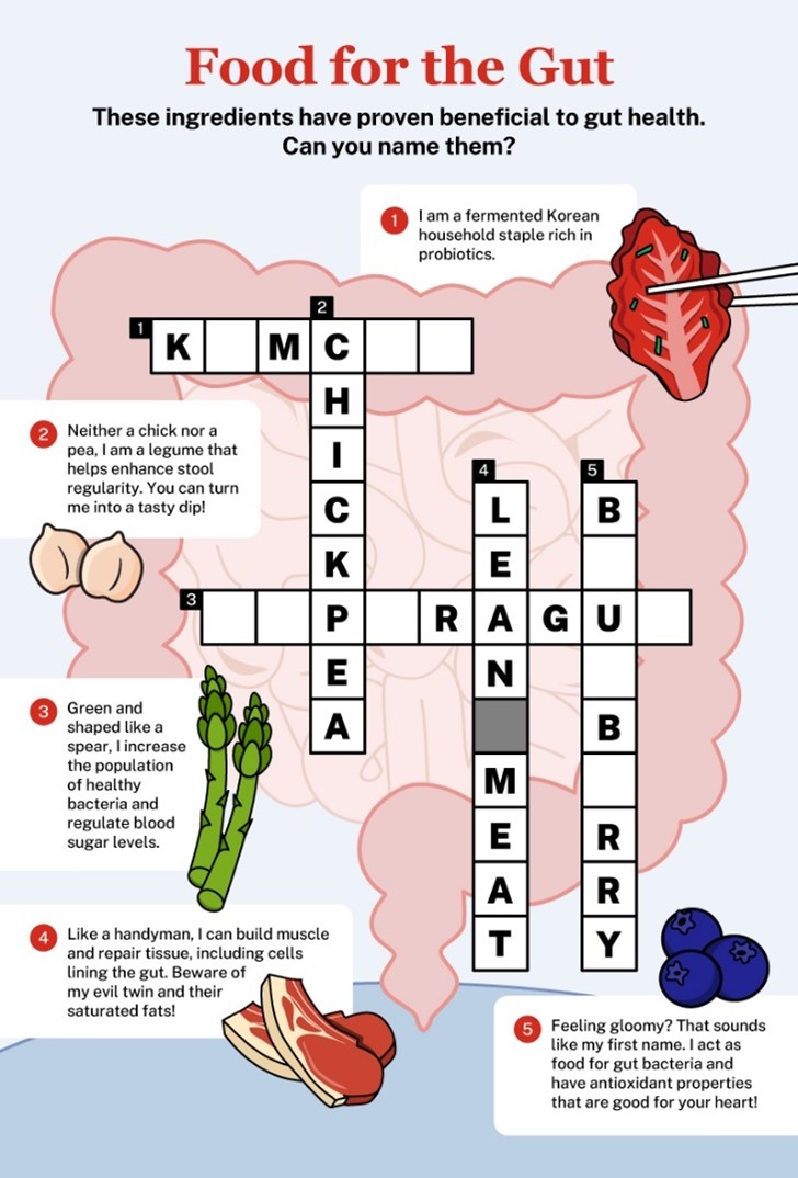 Food for the gut crossword puzzle