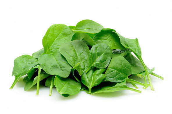 Healthy leafy greens spinach