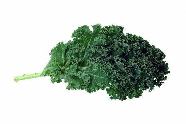 Healthy leafy greens kale