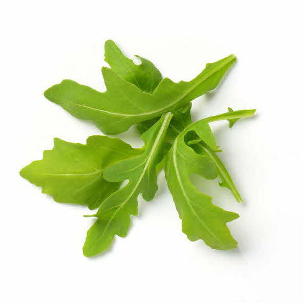 Healthy leafy greens rocket