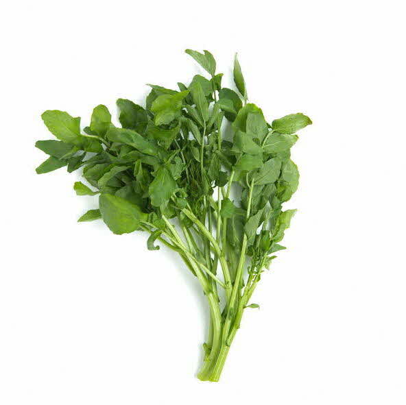 Healthy leafy greens watercress