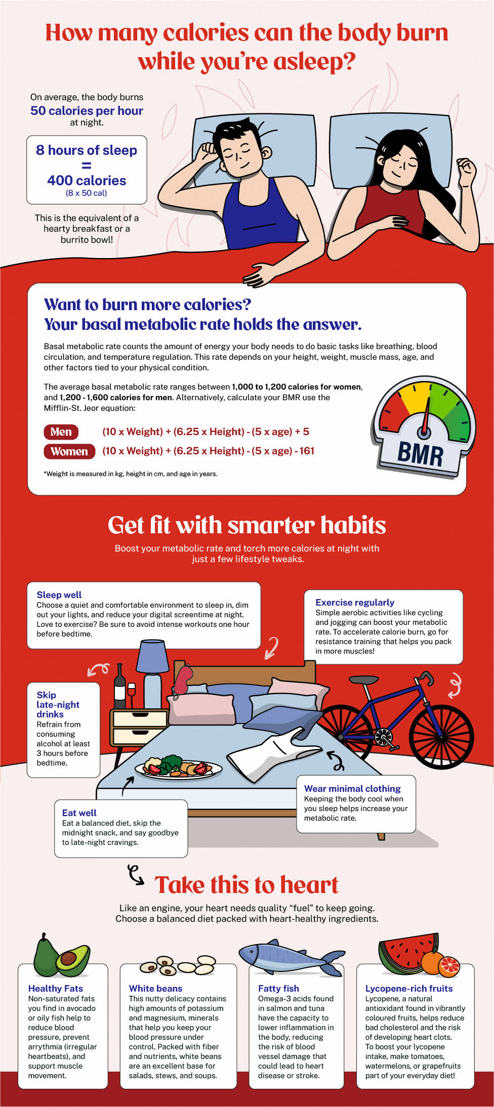 Learn to calculate your Basal Metabolic Rate and lose weight while sleeping