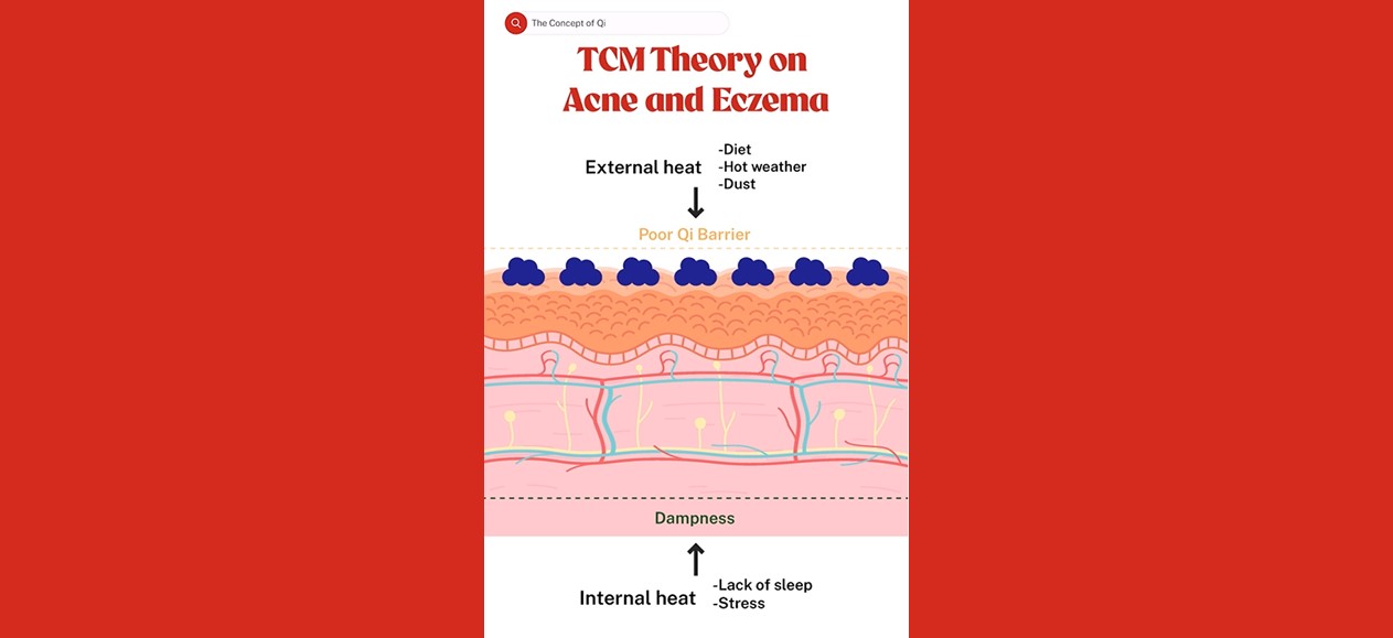 The concept of Qi in TCM and its effect on skin